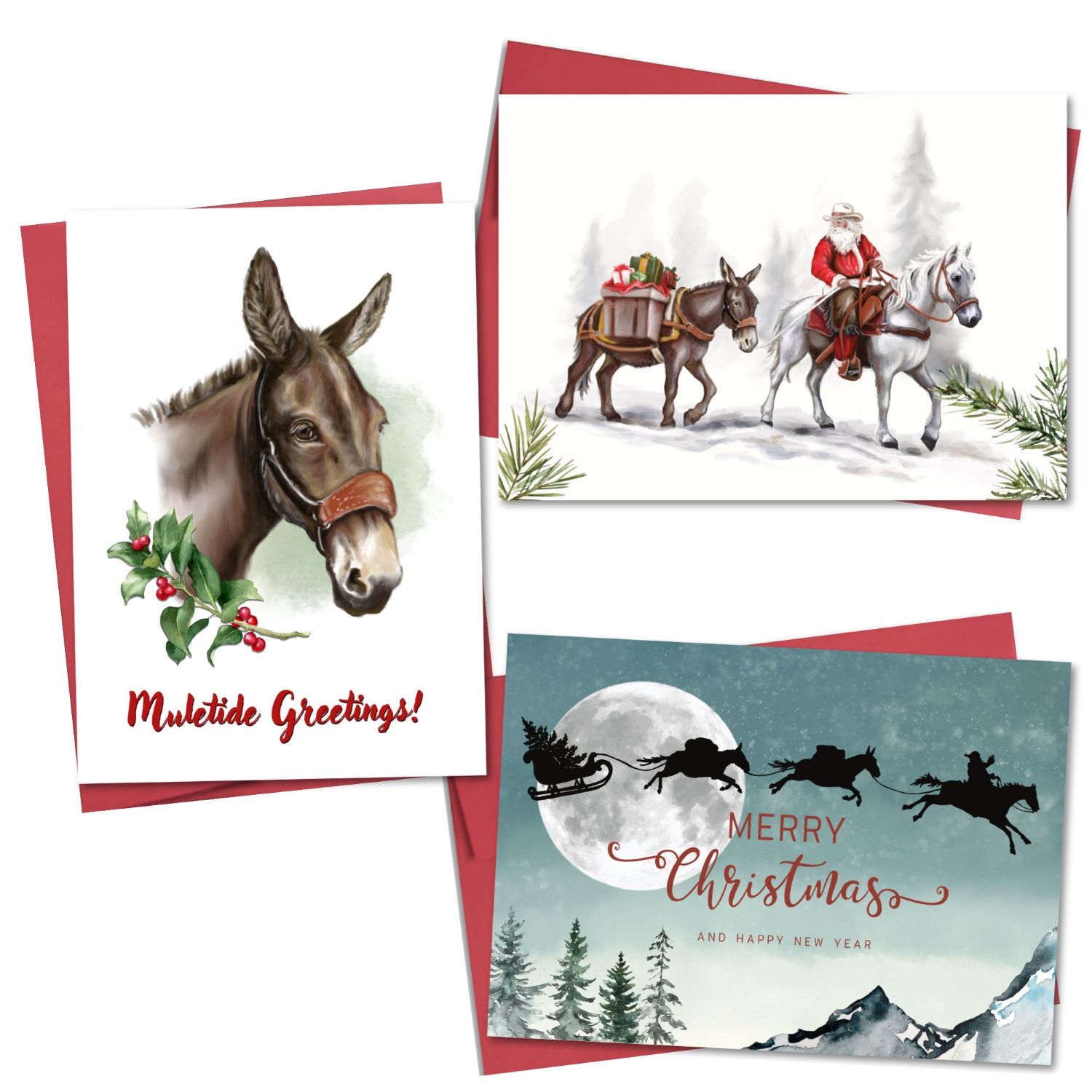 Mule Greeting Cards - Boxed Set of 12