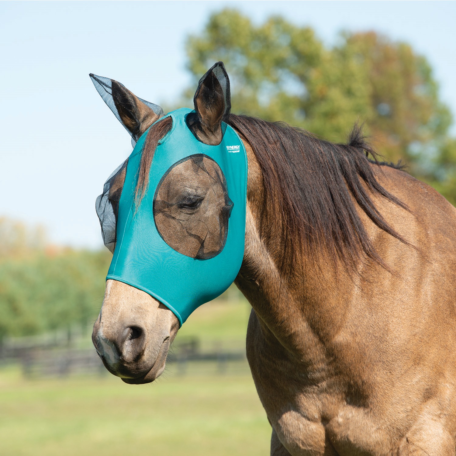 Equine Lycra Fly Mask