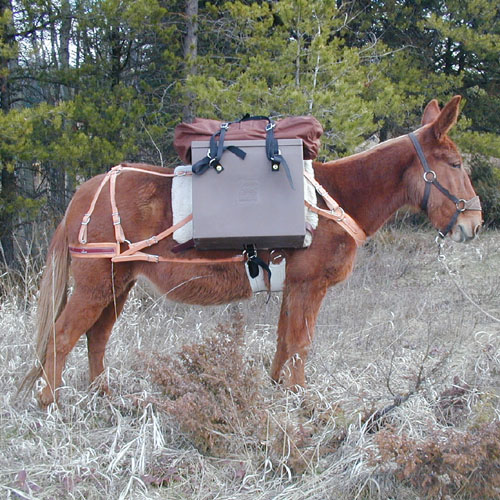 not-a-knot-pack-system-with-the-classic-sawbuck-pack-saddle