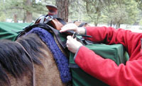 The panniers on the Pack-A-Saddle™ buckle on individually.