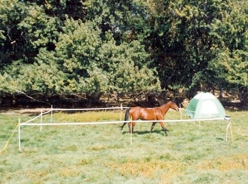 Portable Fencing