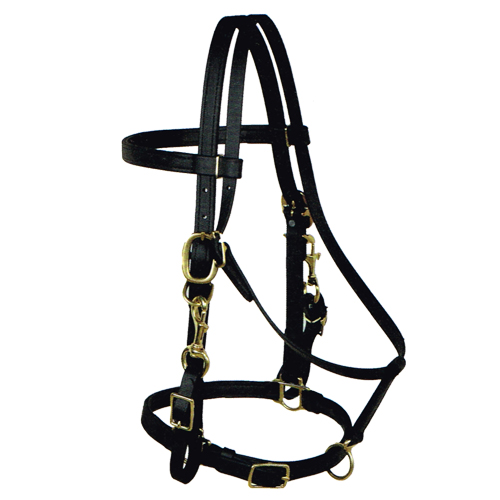 Biothane Beta Halter Bridle, Horse Sized