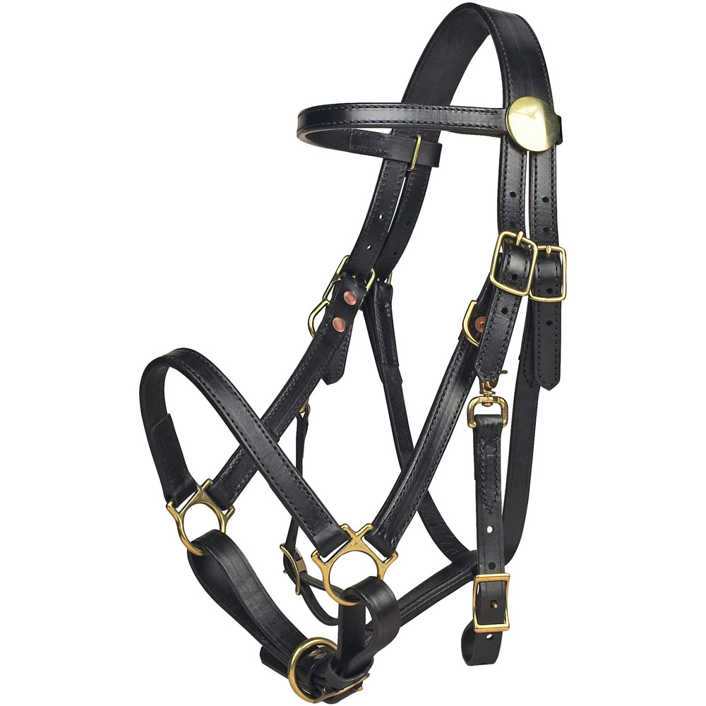 tucker-halter-bridle-combo-black-leather-halter-bridle