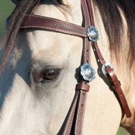 Horse / Mule Bridles & Headstalls