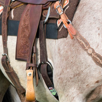 Saddle Accessories